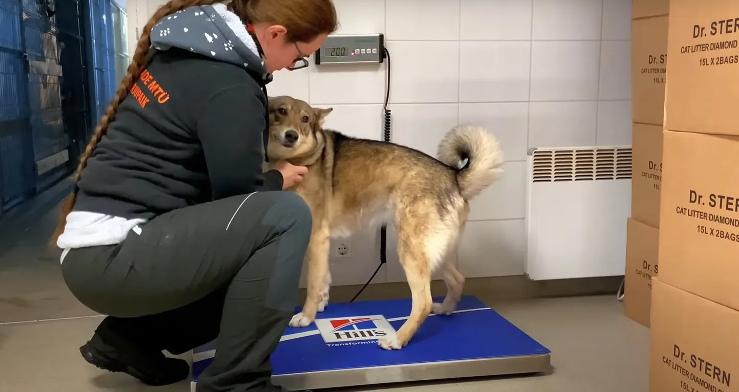 Kuvatõmmis videost