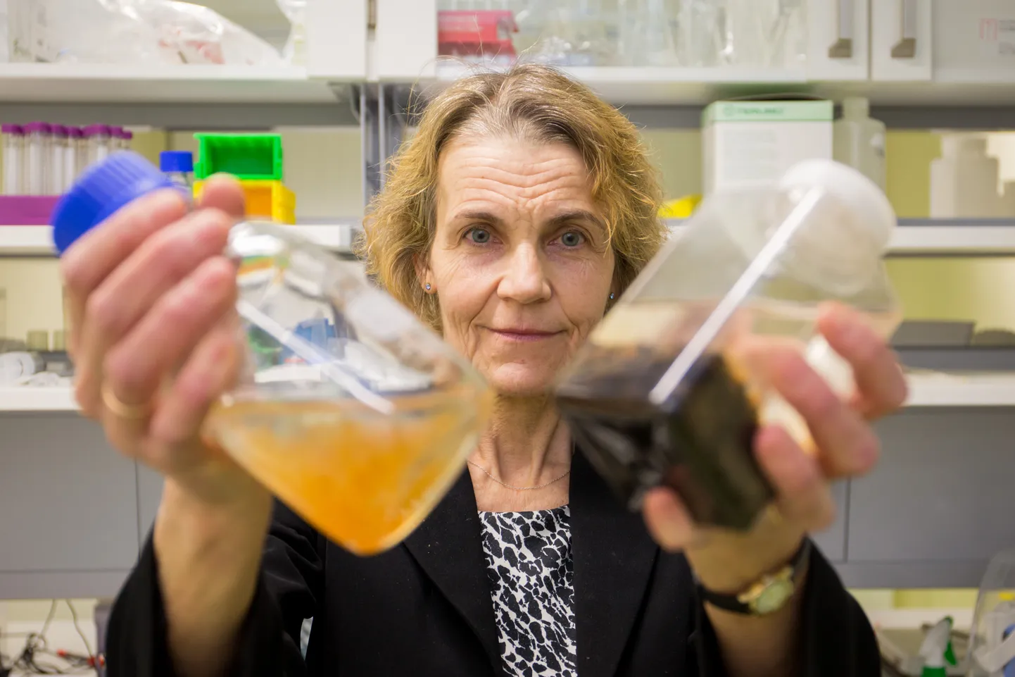 Tallinna Tehnikaülikooli Meresüsteemide Instituudi veemikrobioloog Kai Künnis-Beres koos veefiltritest võetud veeproovidega.