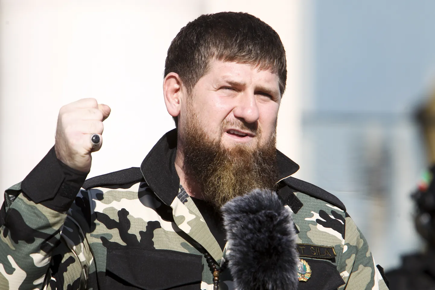 Глава Чечни Рамзан Кадыров