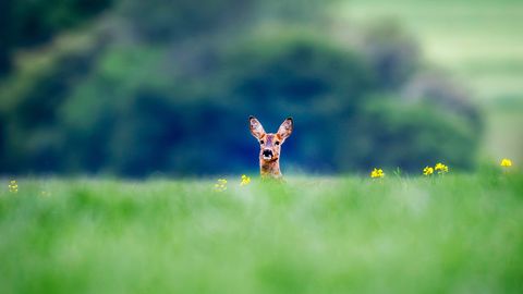 Latvijo ponoči pričakujejo dež in nevihte, v sredo se bo vreme izboljšalo
