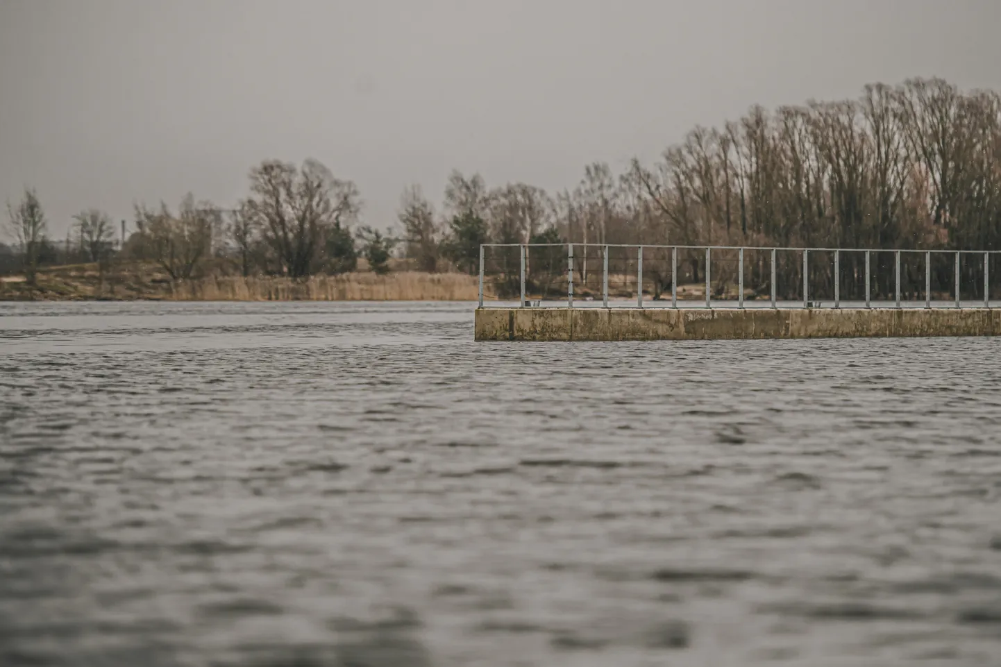 Foto: Drēgna februāra diena Lucavsalā