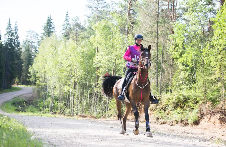 Kairit Järv ja Mustafo Malabah tulid kestvusratsutamise meistriks 2019. aastal.