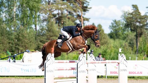 CHI Pärnu teise nädala kõrgeima kategooria võistluse võitis Gunnar Klettenberg