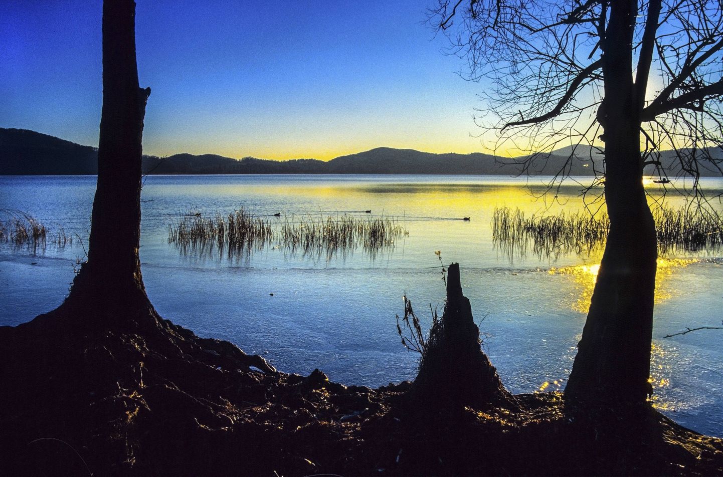 Laachi järv.