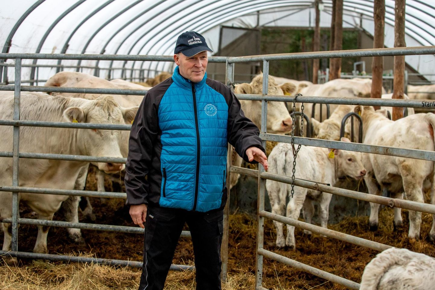 Tiitli “Eesti parim tõu­are­taja 2020” ­kõrval on Targo Pikkmets pälvinud teisegi aunimetuse – “Parim liha­veisekasvataja 2014.”
