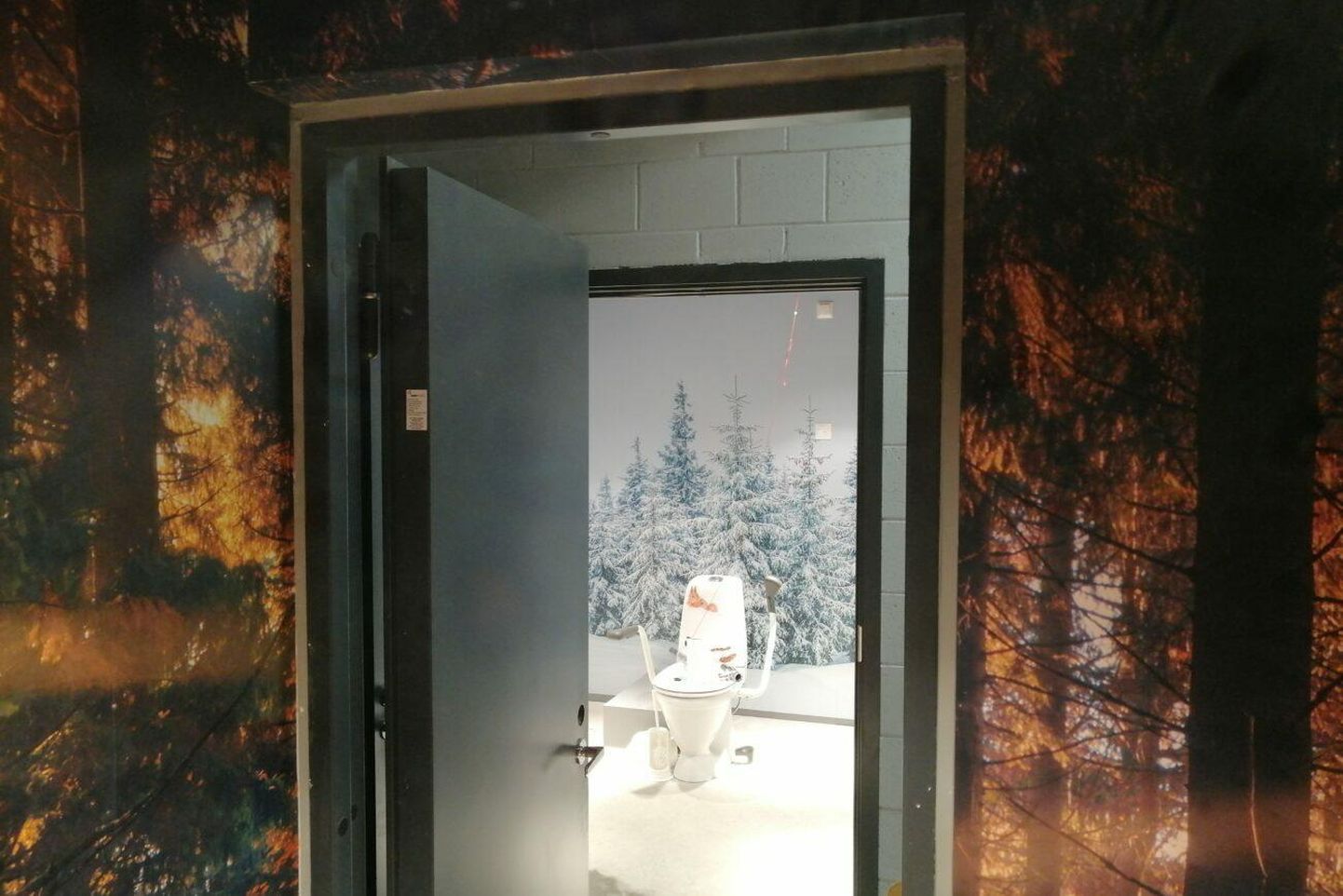 Ääsmäe Käramaja tualettruumid sündisid kunstniku käe all. Siin saab igal ­aastaajal astuda kas kevadesse, suvesse, sügisesse või talve.

 