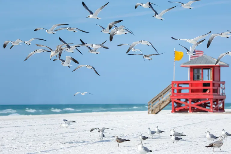 Siesta Key