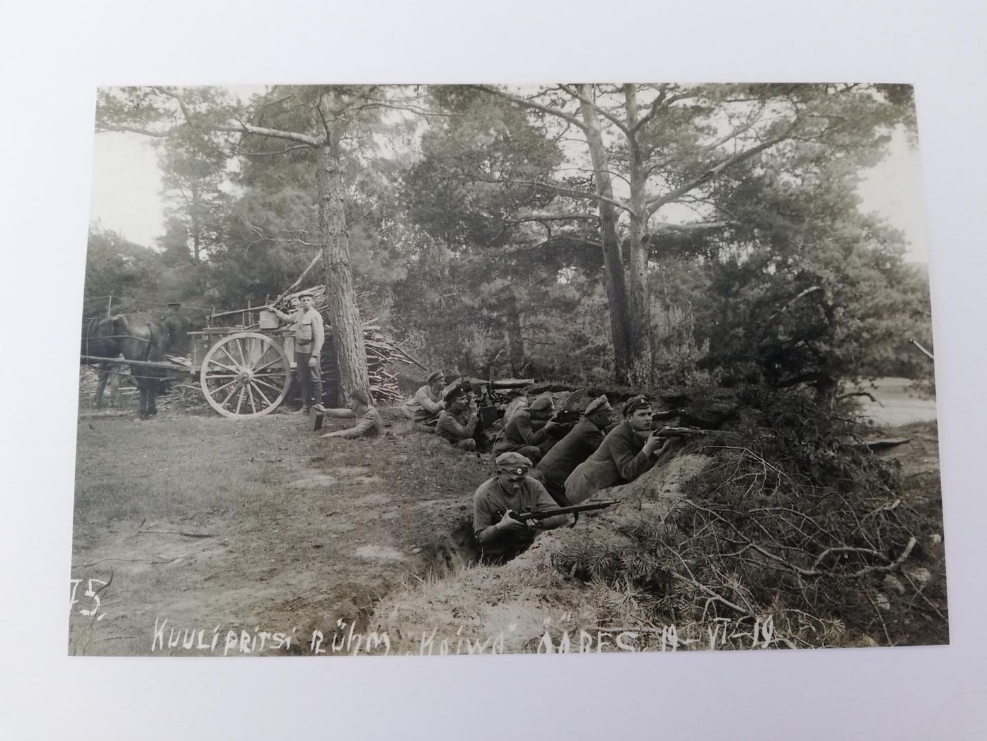 6. jalaväepolgu kuulipritsirühm Koiva jõe ääres 19. juunil 1919.