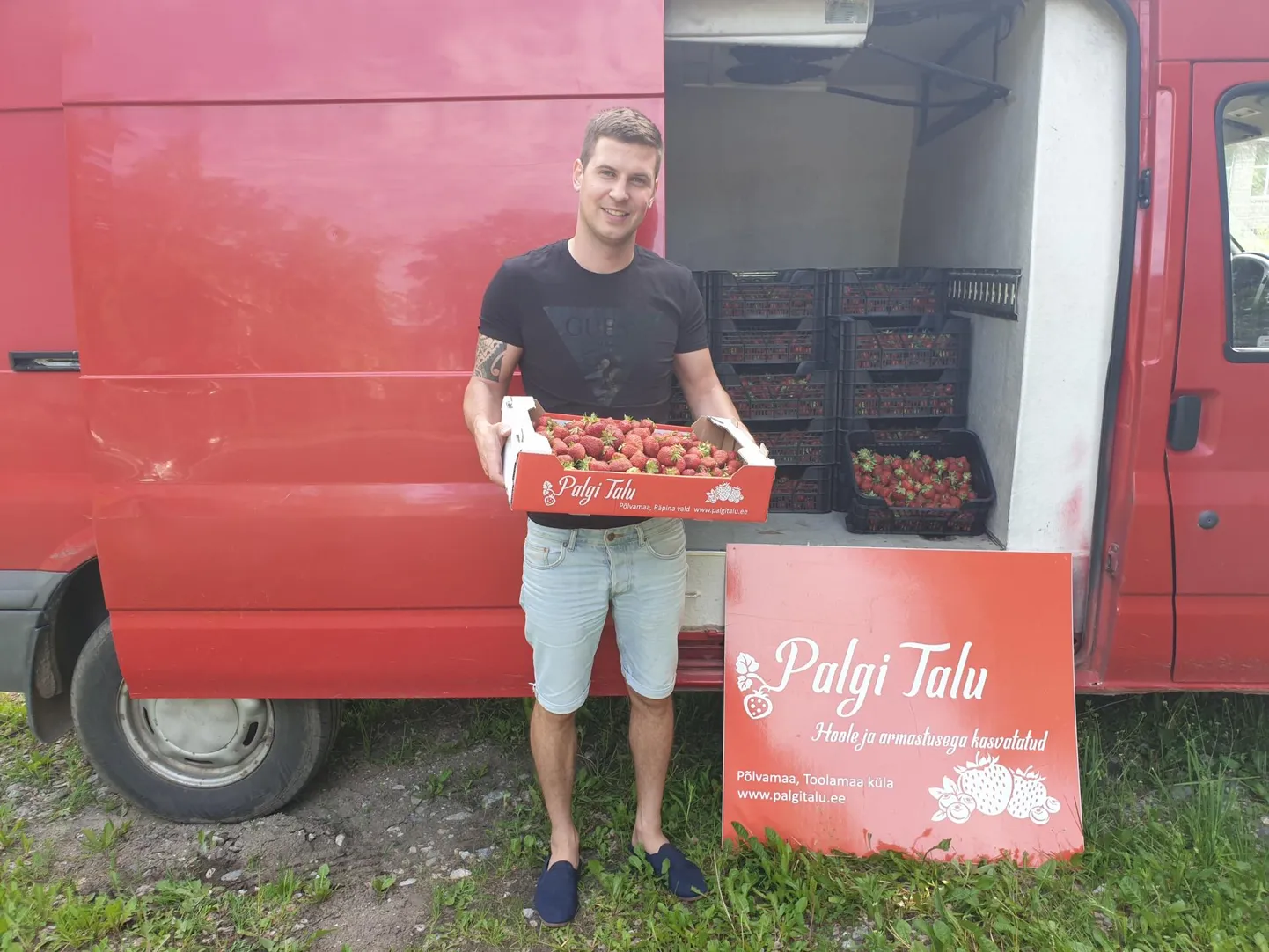 Kristjan Pärnaste sõnul on tänavune kevad maasikakasvatajale hea, hoolimata hiljutistest ägedatest ja rahega äikesevihmadest.