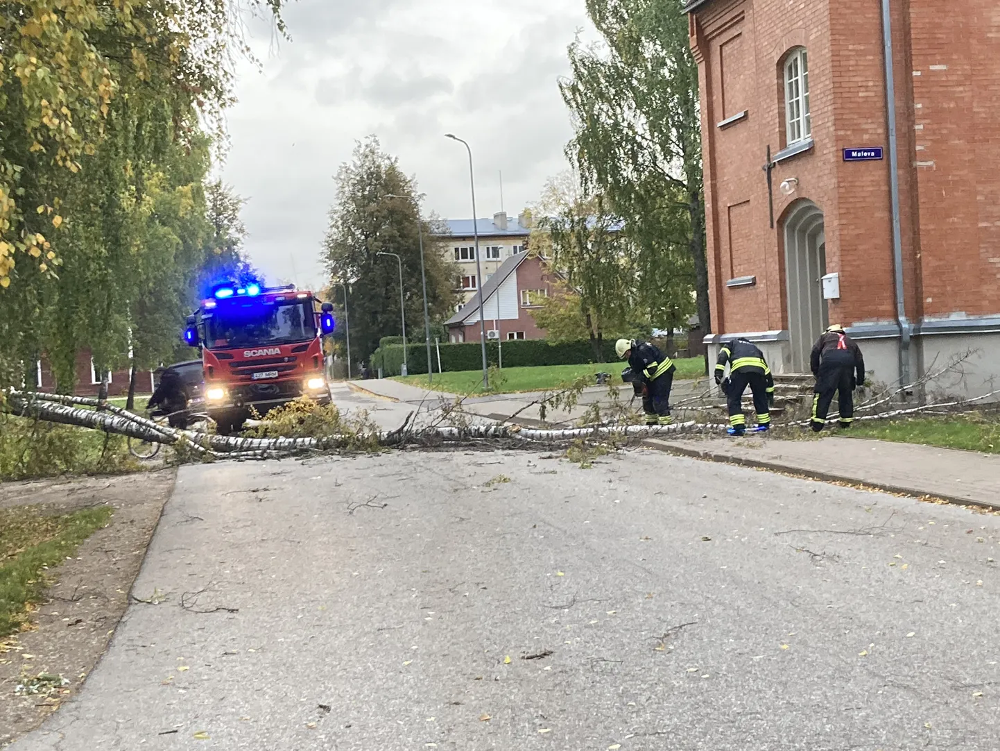 Tormituul murdis esmaspäeval Valgas puu.