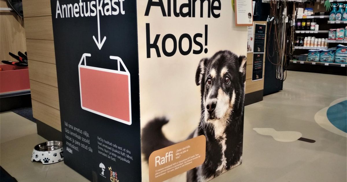 Lemmikloomapoest leiab varjupaigaasukate soovide nimekirja