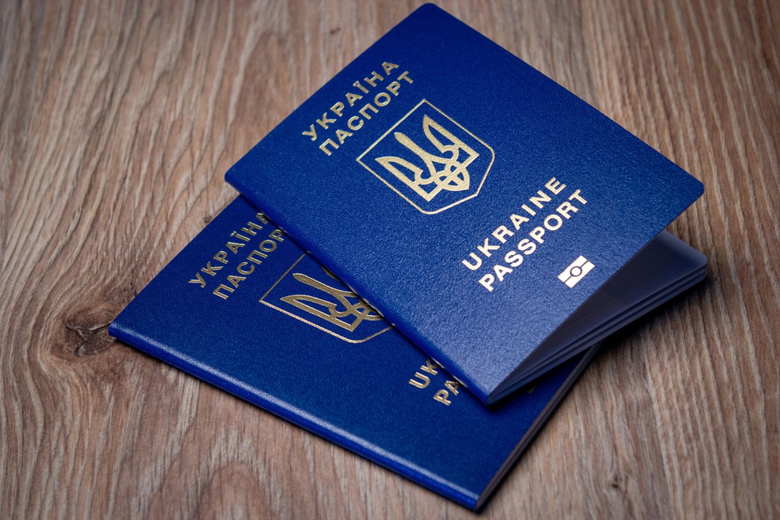 Отсутствие документов усложняет жизнь двум украинским девочкам-беженкам.