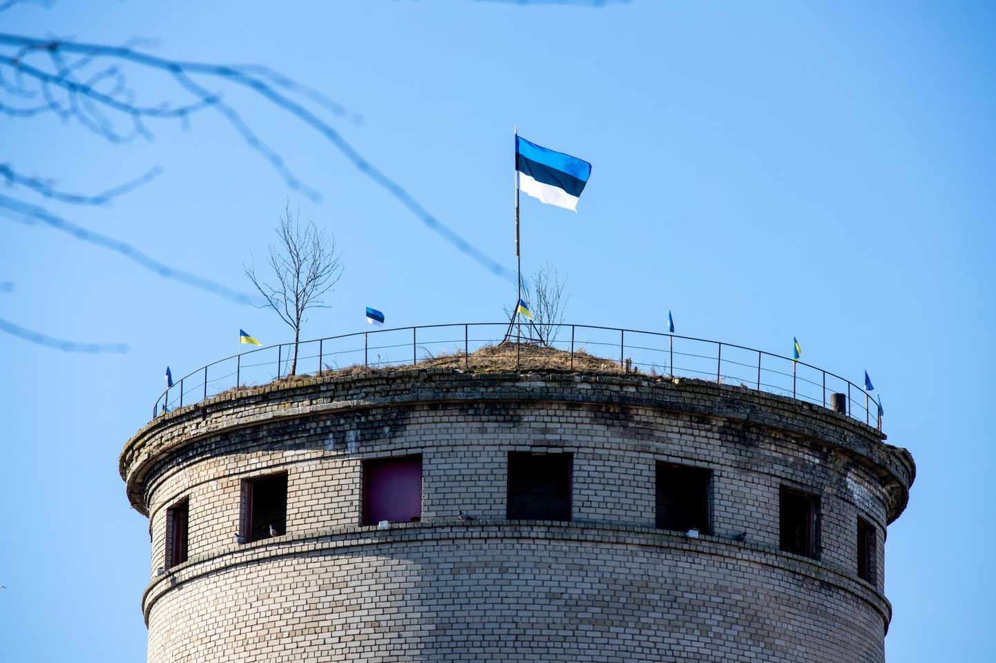 Uus omanik heiskas Pärnus Suur-Sepa tänaval aastaid tühjana seisnud veetornikatusele Eesti lipud. 