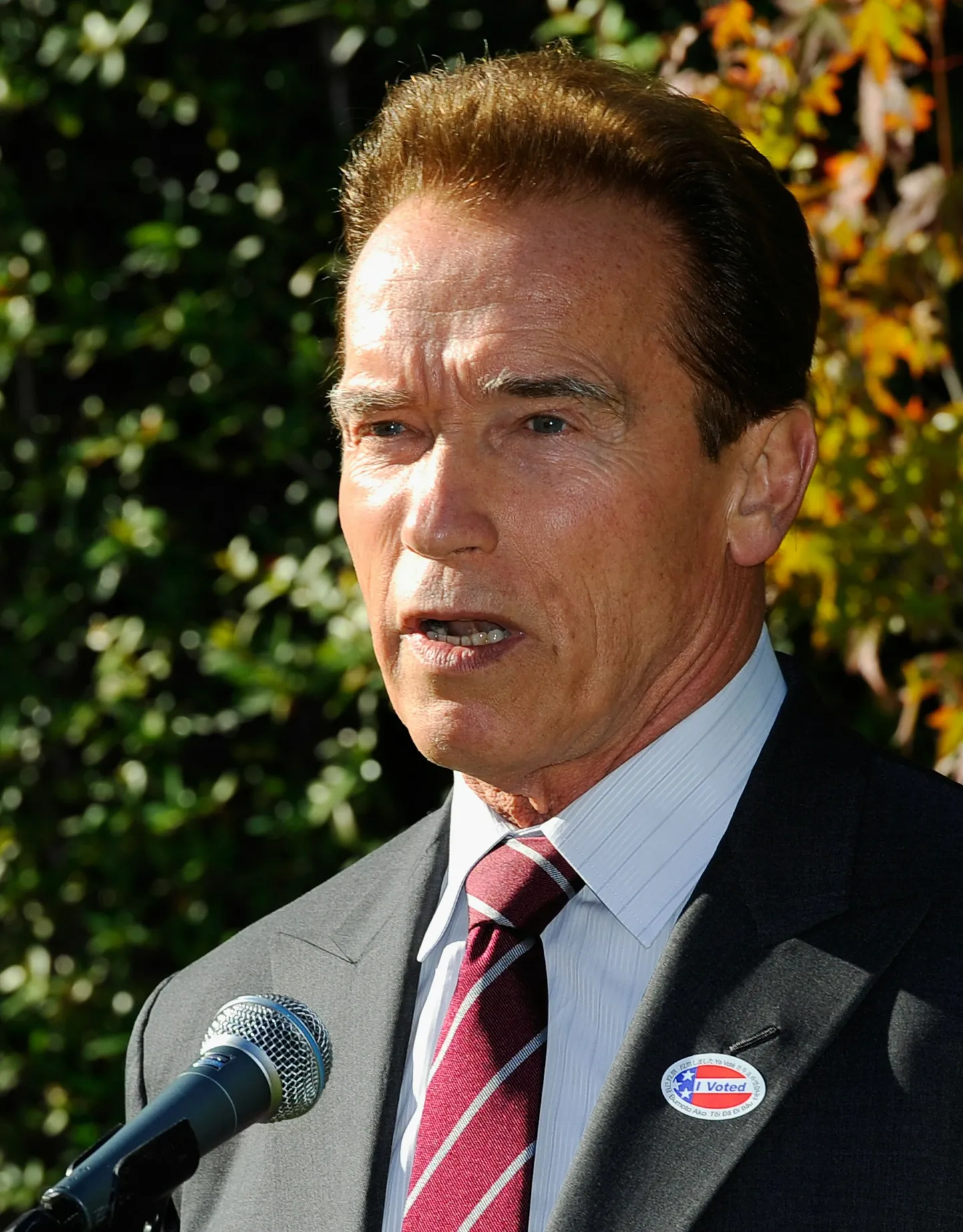 Arnold Schwarzenegger