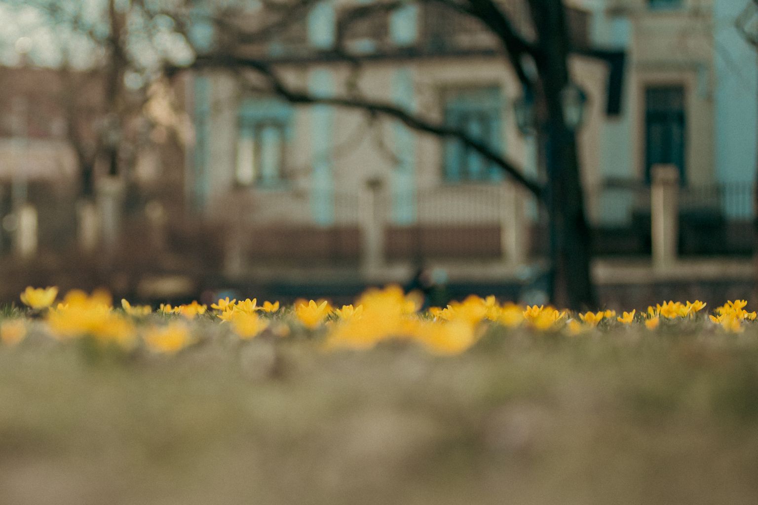 Pavasarīgs laiks Rīgā