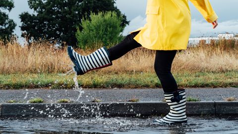 Latvijo bo ponoči zajelo deževje in nevihte