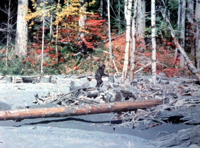 Roger Patterson jäädvustas 20. oktoobril 1967 Põhja-Carolinas Bluffi jõe ääres tumedakarvalise kahel jalal kõndinud suure olendi