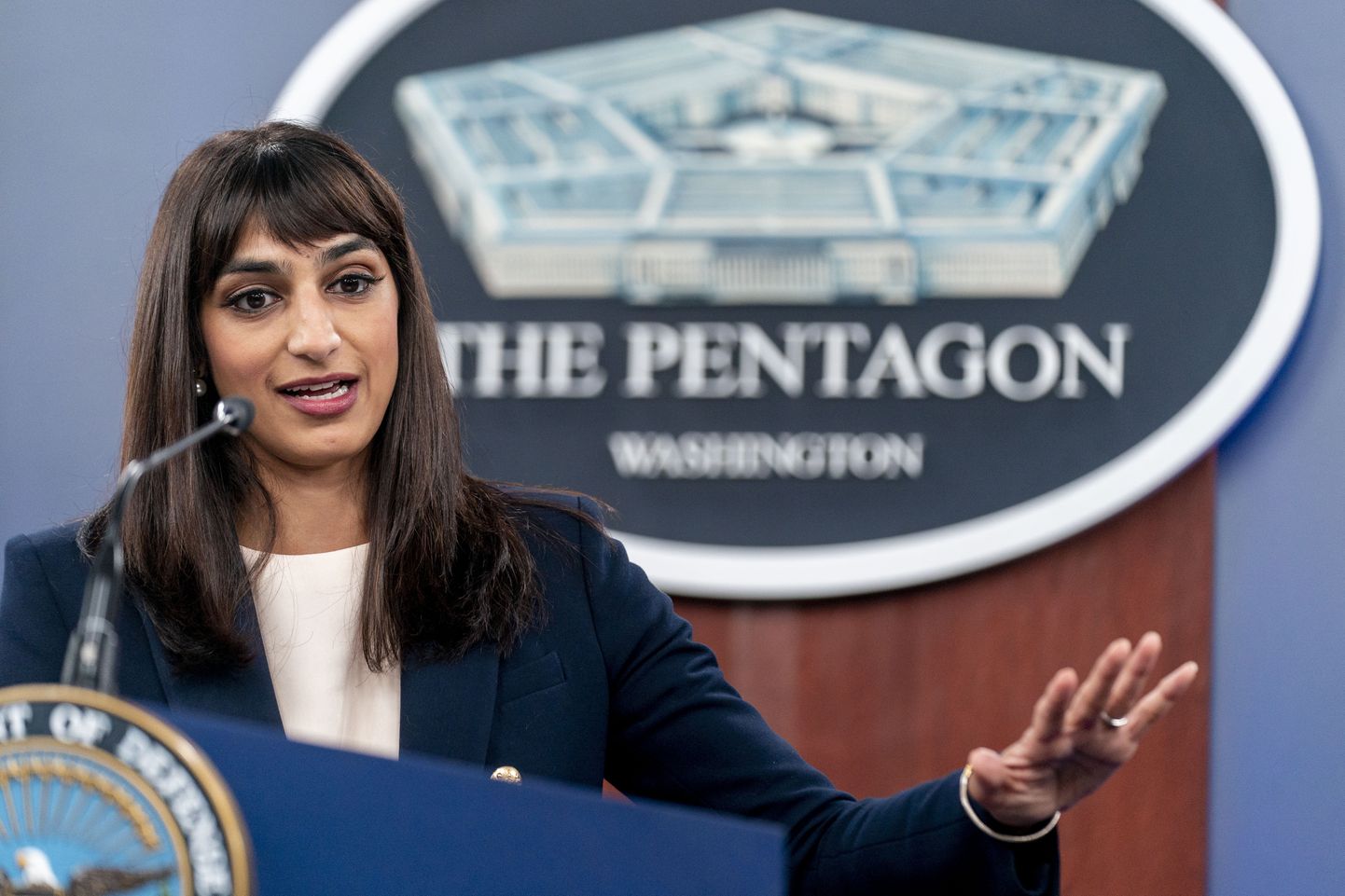 USA kaitseministeeriumi asepressiesindaja Sabrina Singh.