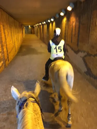 Kestvusratsutamise EM-i rada läks läbi mitme tunneli.
