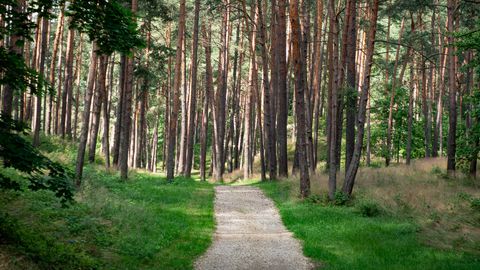 Otrdiena būs pavasarīgi silta un saulaina