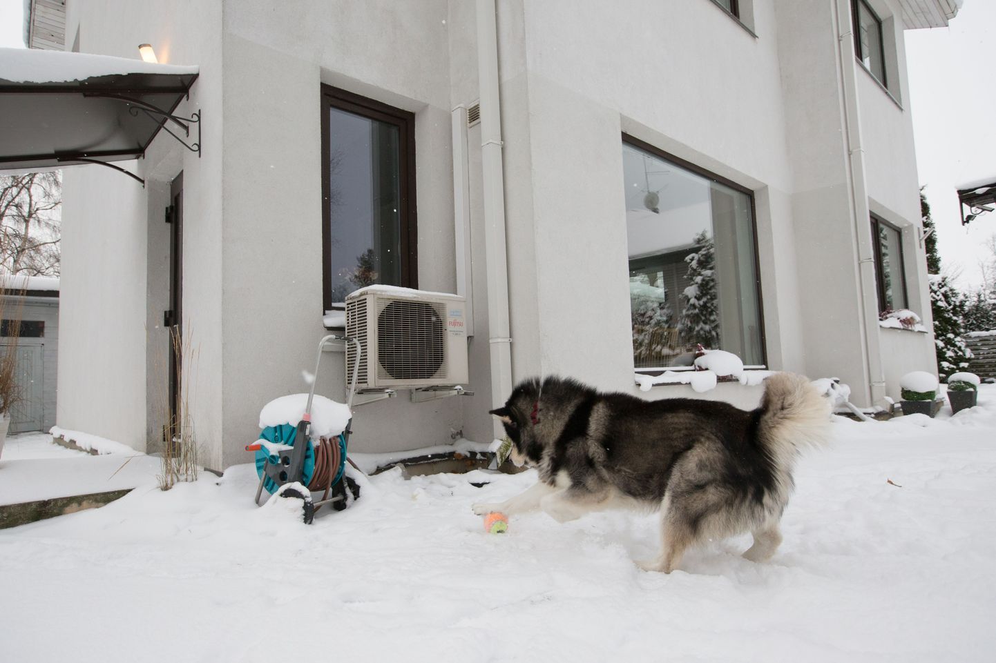 Selle Pirita maja omanik toob isegi oma Alaska malamuudi suure külmaga tuppa, mille õhksoojuspump soojaks kütab.