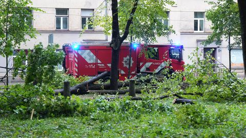 Glābēji saņēmuši vairāk nekā 3000 pieteikumu par vēja postījumiem