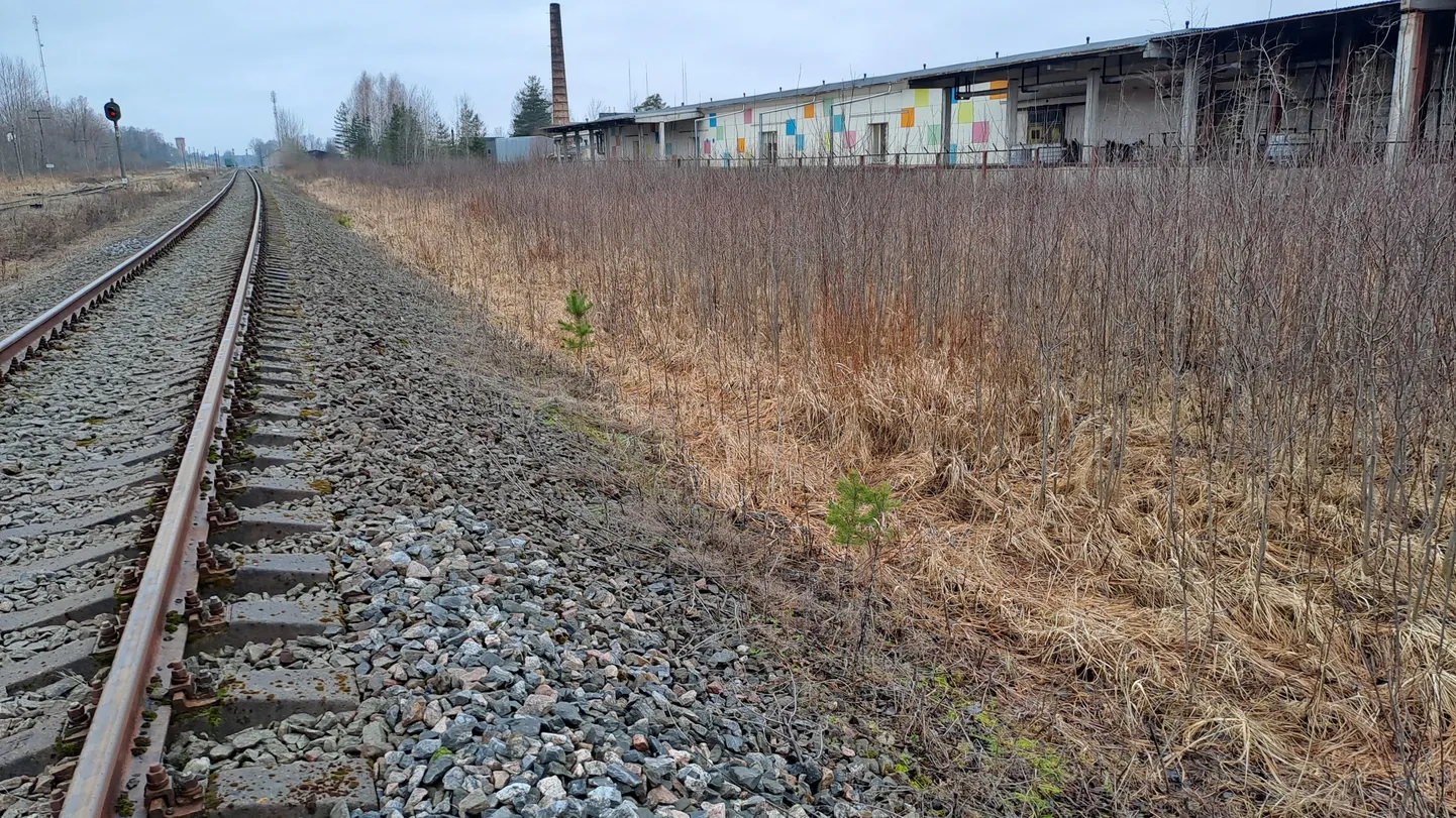 Kusagilt siit Võru linna piirimailt noore mehe surnukeha tarastatud territooriumilt leiti.