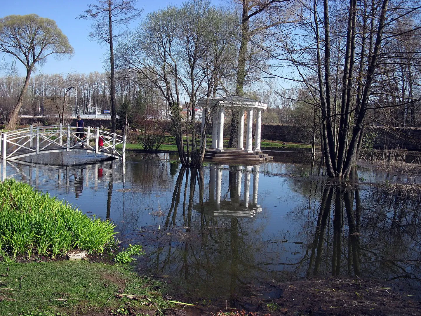 Вид на пруд Тартуского ботанического сада.