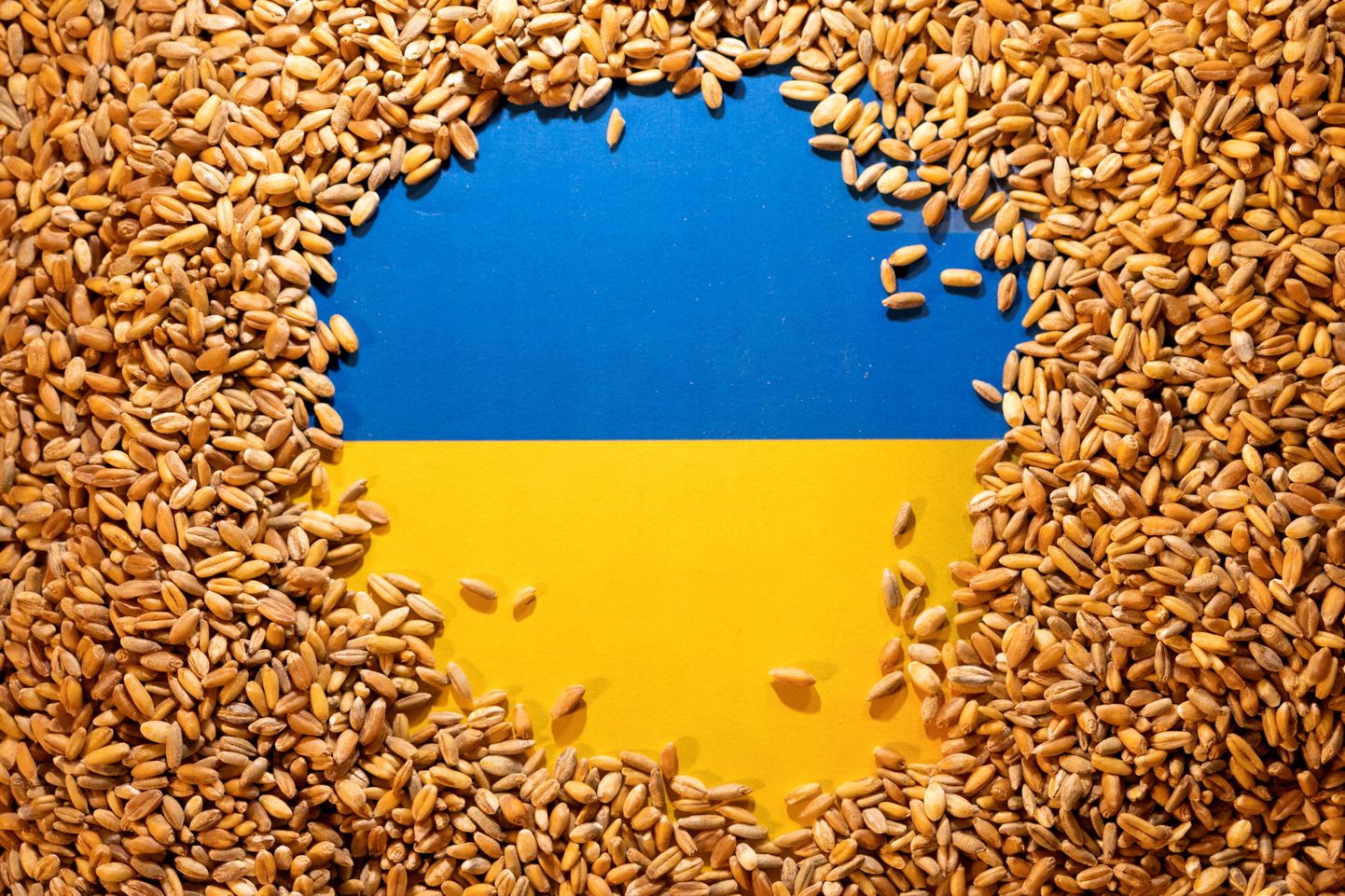 Teradega kaetud Ukraina lipp.
