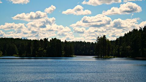 Viitna järves ujumine on viinud inimesi arsti juurde