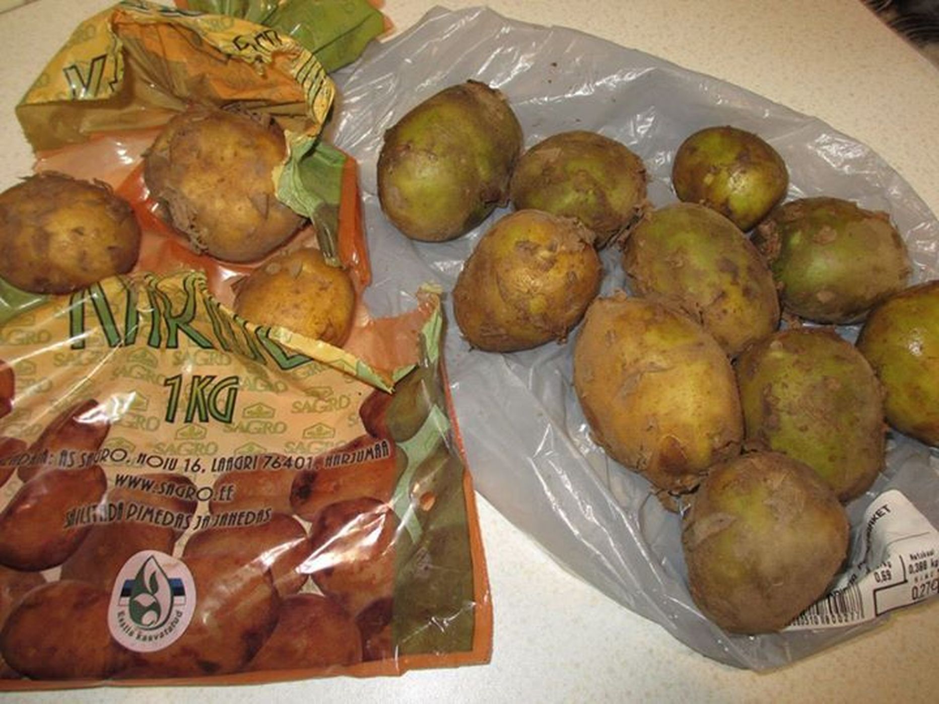 Söögikõlbulikke kartuleid oli kiloses kartulikotis kõigest kolm - ülejäänud olid rohelised ja plekilised.