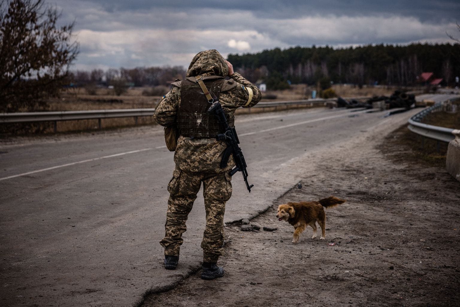 Ukraina sõjaväelane valves Brovarõi teel.