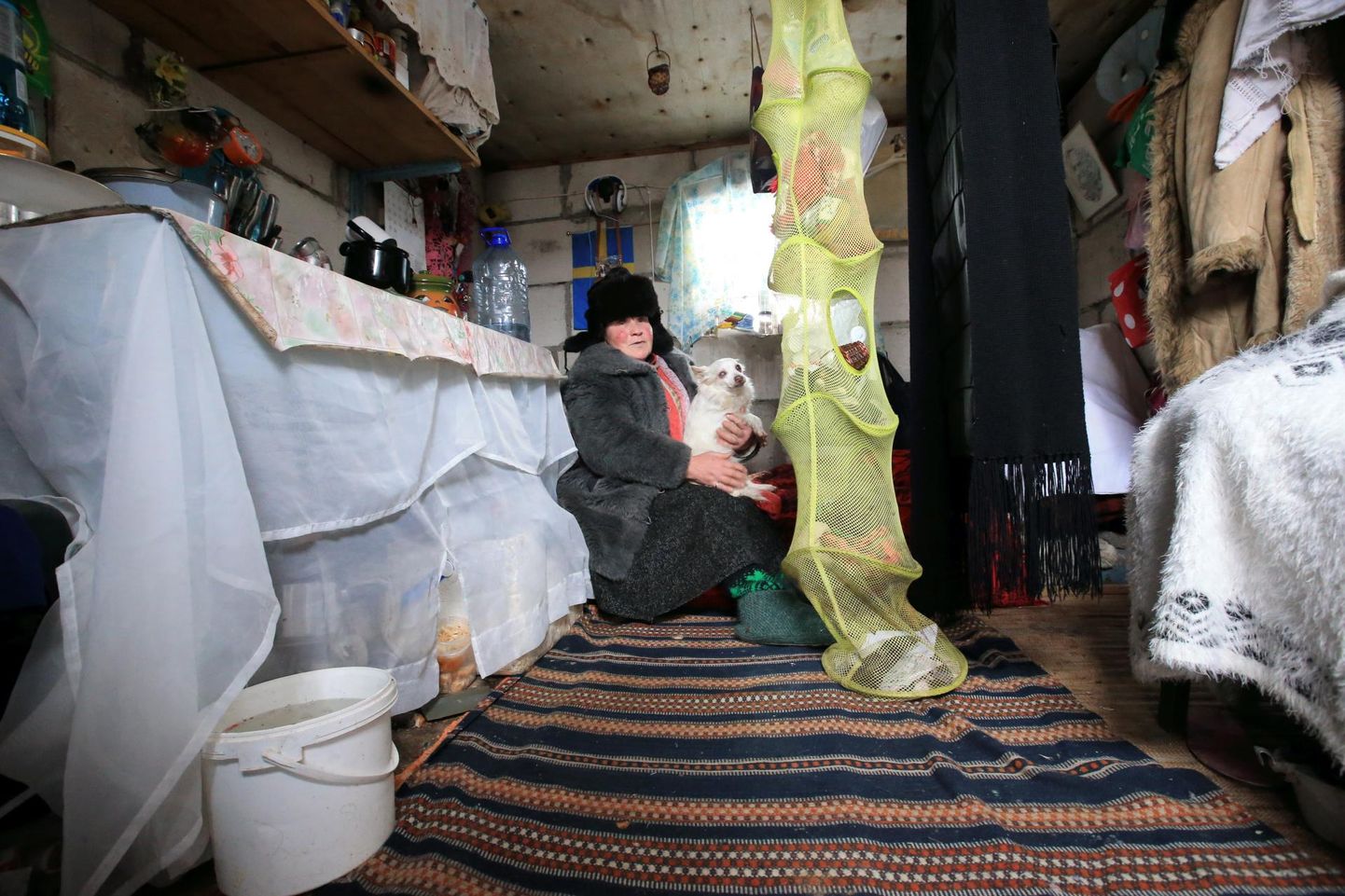 Julia Tšumakova elab kuuris koos väikese koeraga. Sooja saamiseks tuleb tal pugeda tekikuhjade alla.