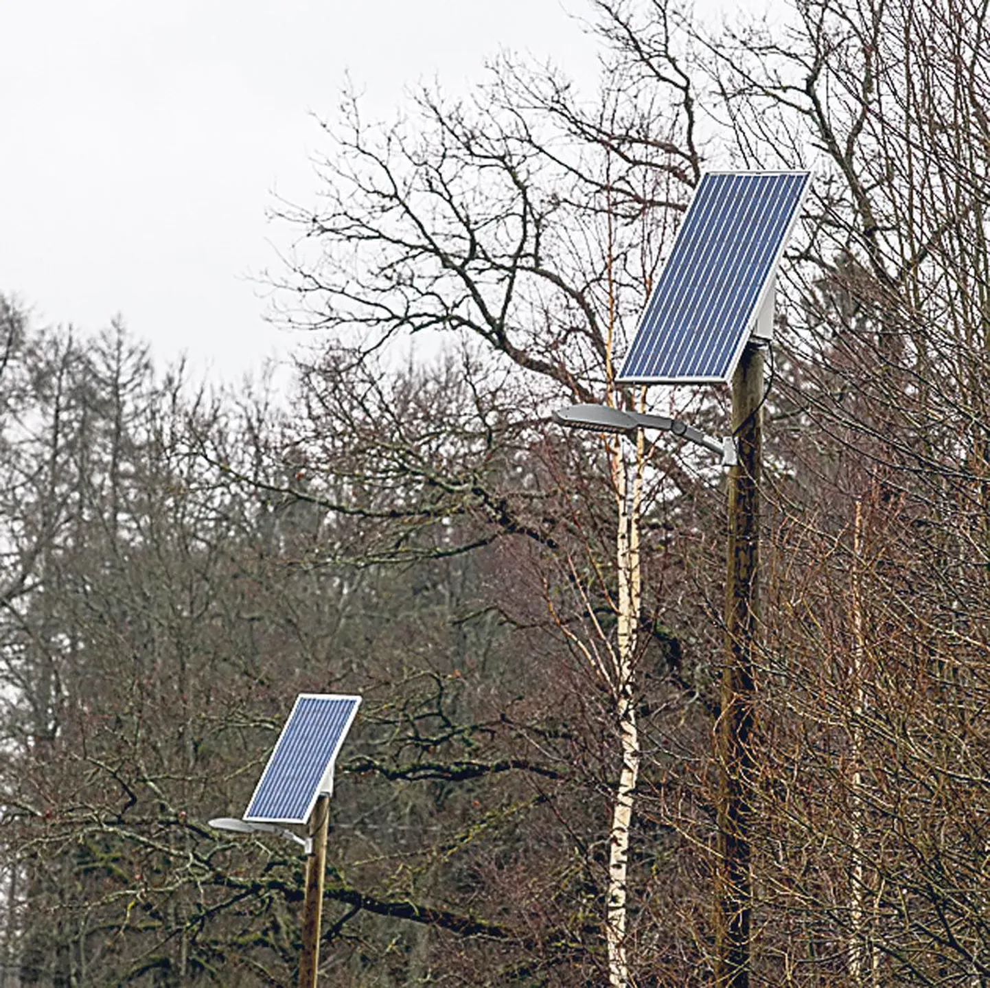 Päikesepatareidega autonoomsed LED-valgustid on keskkonnasõbralikud ega nõua elektriliinide olemasolu.