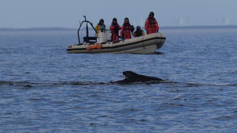 Valis atkal iestrēgst Baltijas jūrā