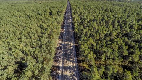Riigimetsa lisandus üle 300 kilomeetri uusi metsateid