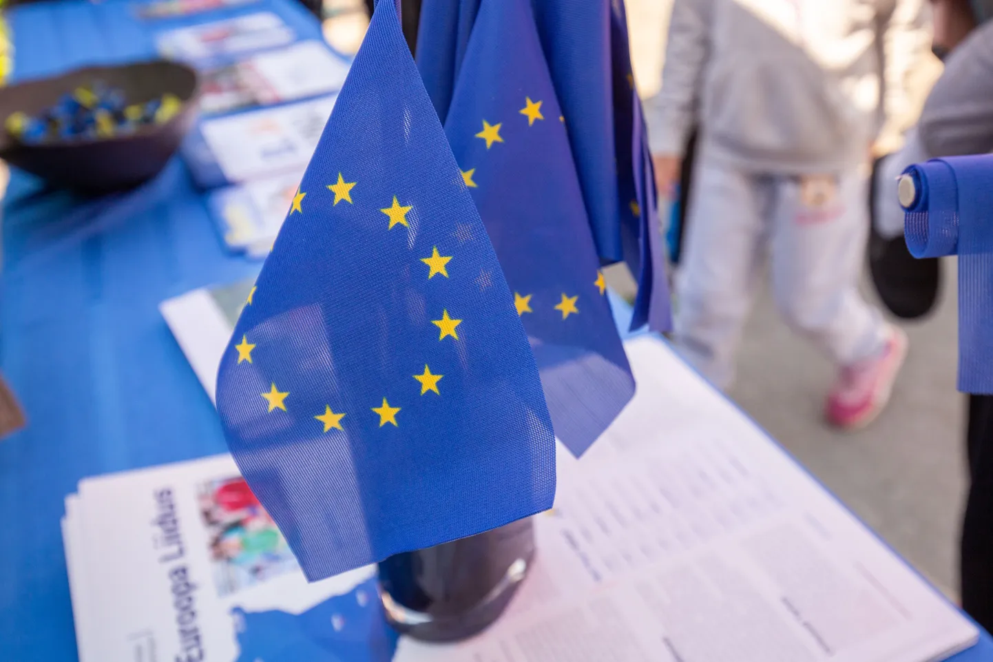 Euroopa Liidu lipud.