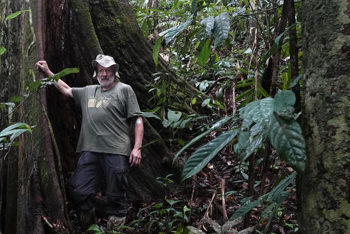 Hendrik Relve veel avatud ustega maailmas Borneo saare floora ja faunaga kohtumas.