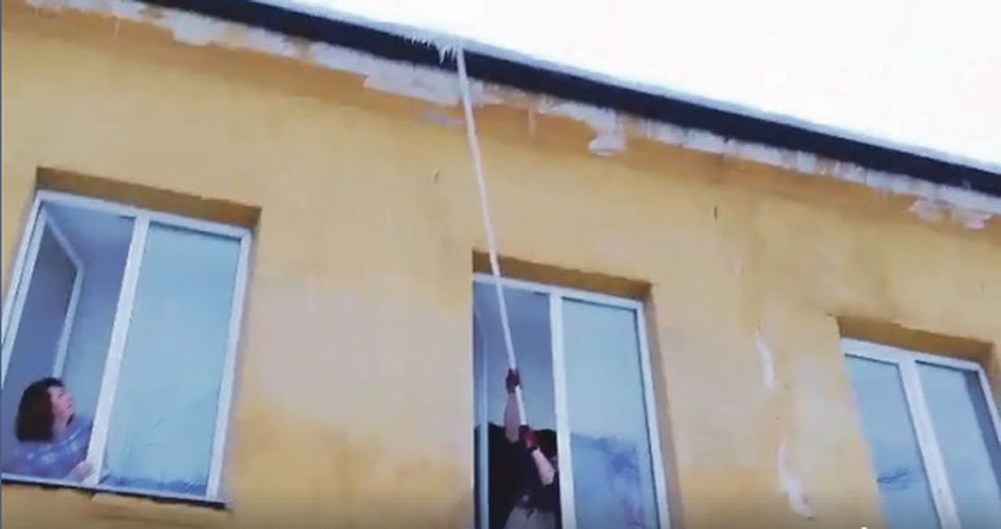 Kaader videost, kus töömees üritab akna kaudu pika tokiga alla lüüa katuseräästas olevaid purikaid. Kõrvalaknast jälgib tema toimetamist kooli direktor Julia Kalamajeva.