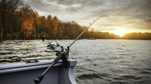 Anekdoot: kaks sõpra koos kalal
