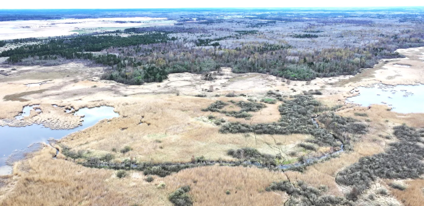 KALATEE: Tänavu  kevadel tehtud aerofoto Kurgu  kraavist. Kalamehed ütlevad, et seda tuleks süvendada, mereinstituut leiab aga,  et eemaldada tuleks vaid koprapaisud.