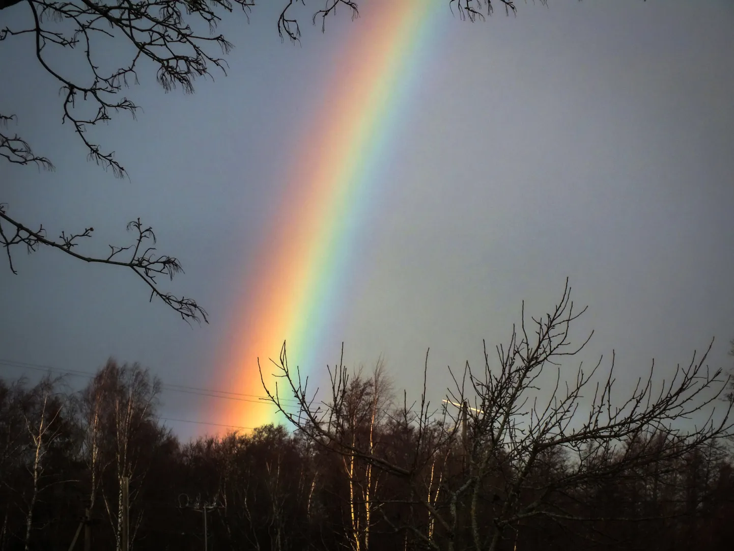 Foto on tehtud 7. jaanuaril 2020.a. Sõrves, Ansekülas.
