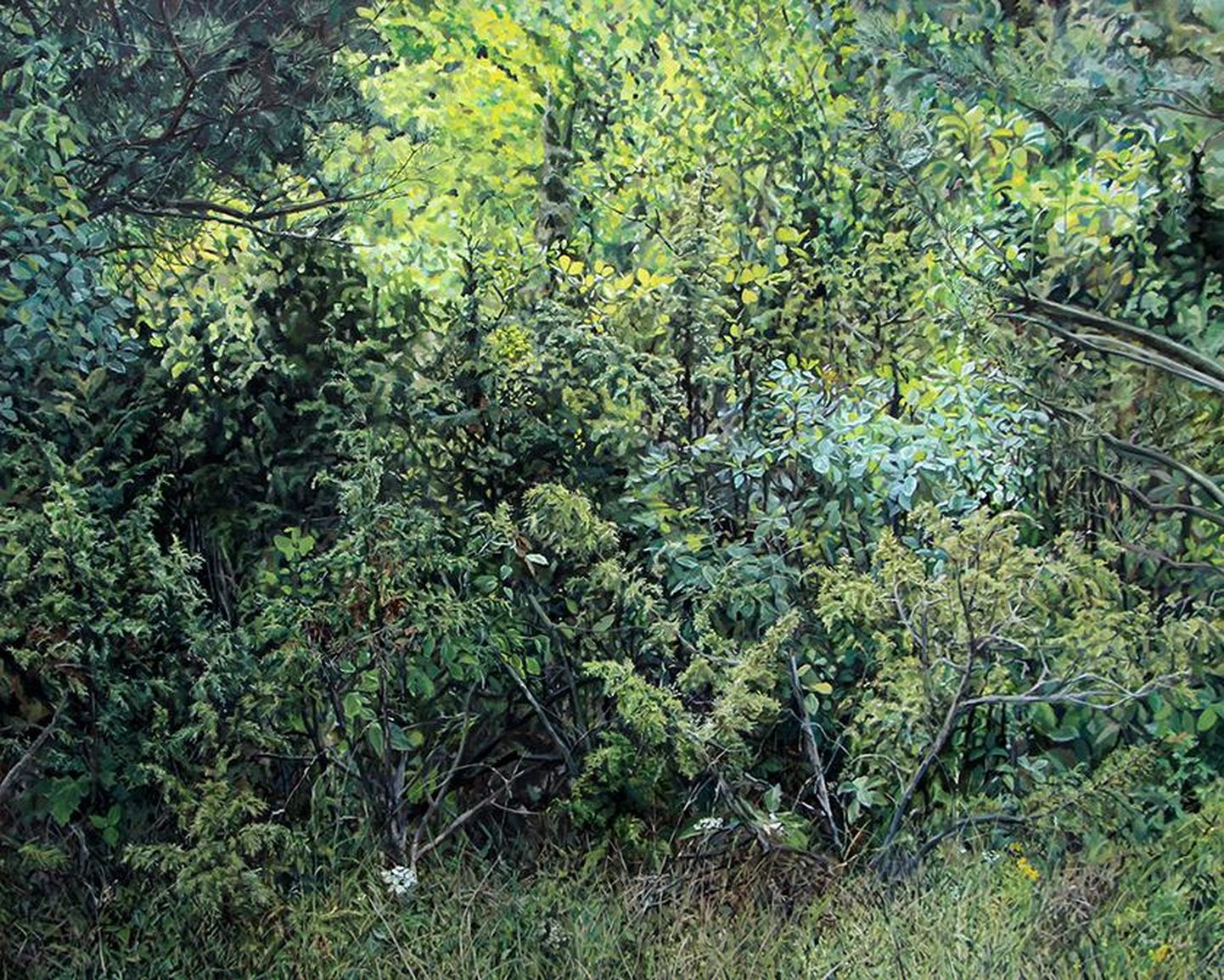 Esmaspäeval avatakse Sakala keskuses Jane Remmi maalinäitus. Pildil on Jane Remmi maali "Roheline" repro.