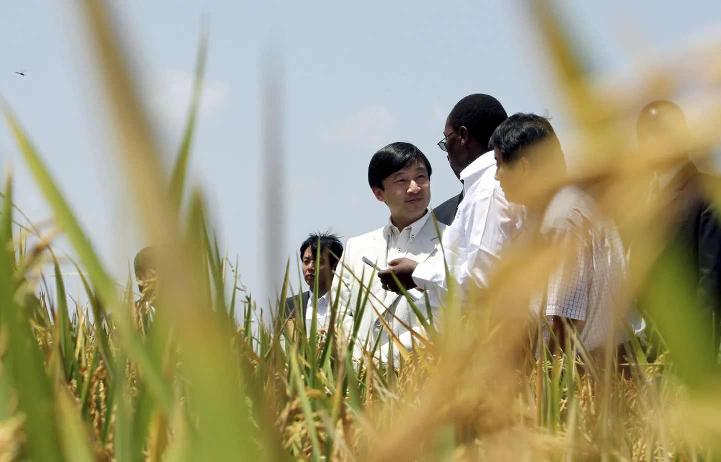 Fotol Jaapani kroonprints Naruhito tutvumas riisikasvatusega