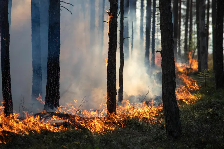 Ei ole vähimatki tõendust, et täna on ilmastik ekstreemsem kui 50 aastat tagasi.? Aga meedia armastab katastroofe, sest see on see, millele inimesed tähelepanu pööravad.