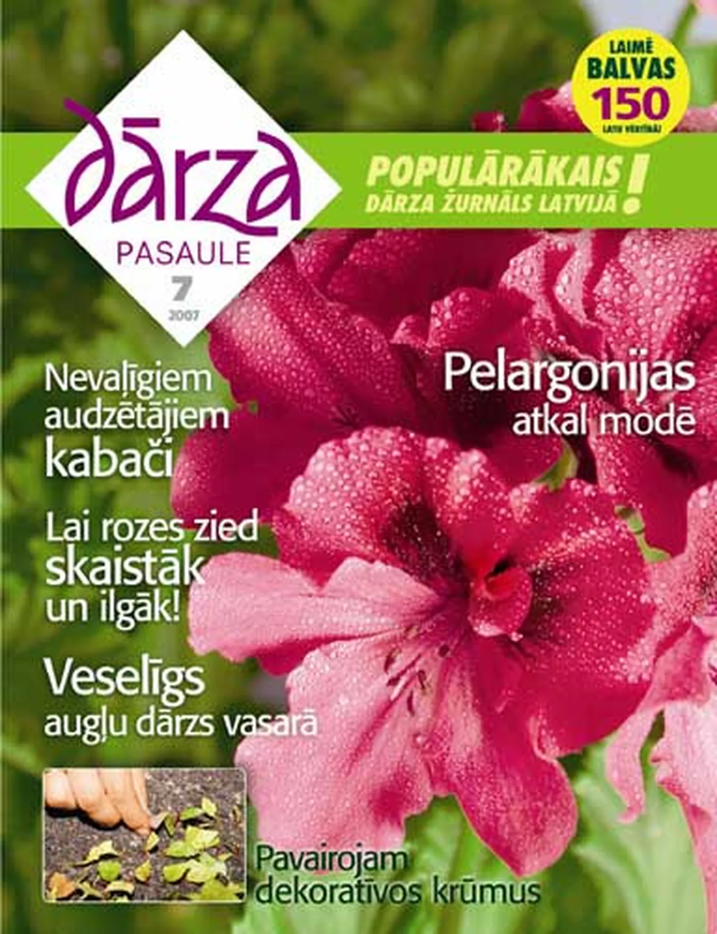 Raksta foto
