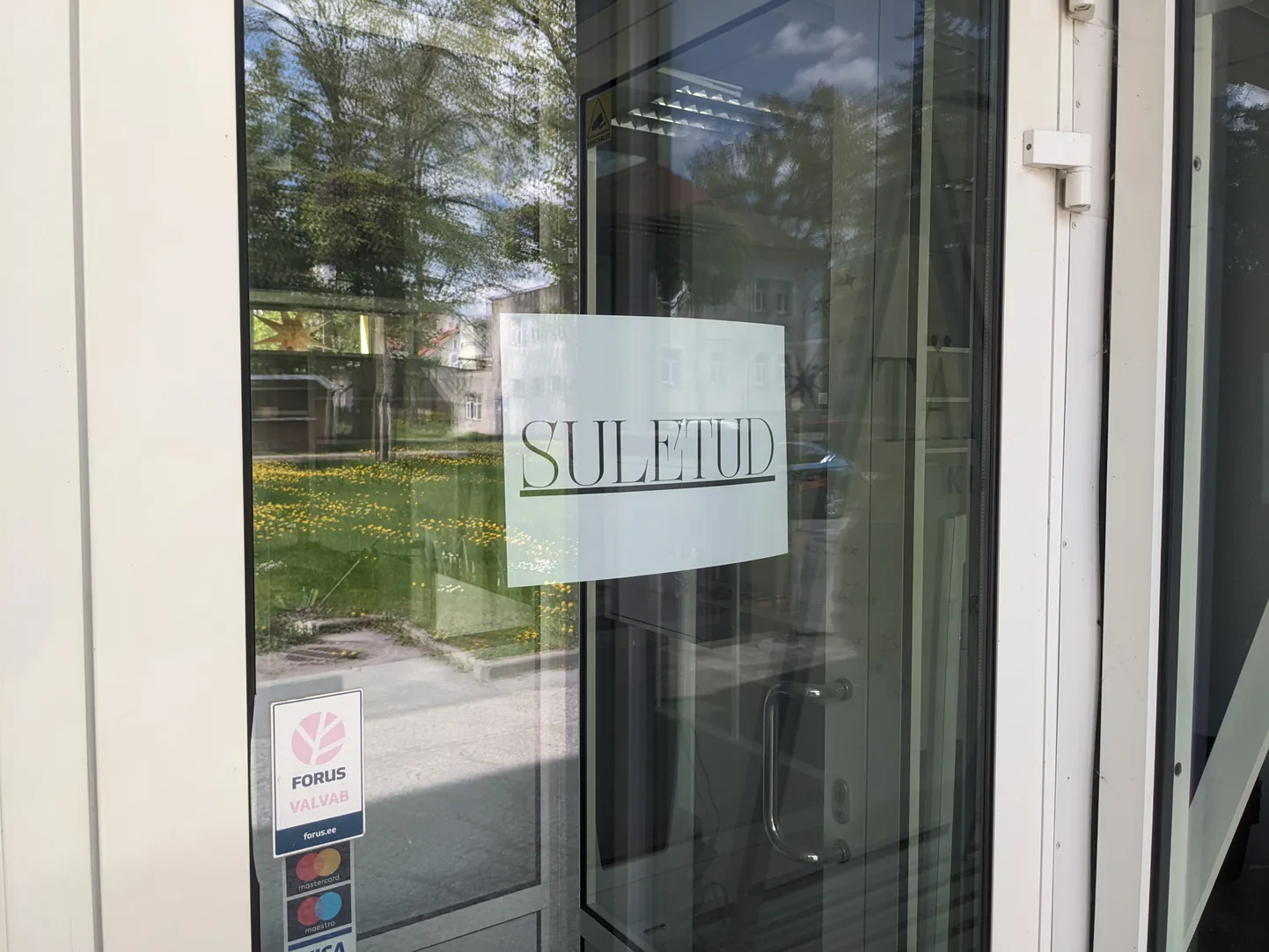Tähesära kirbuturu tähelend jäi Paides lühikeseks