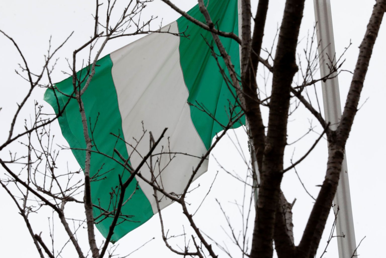 Nigeeria lipp.