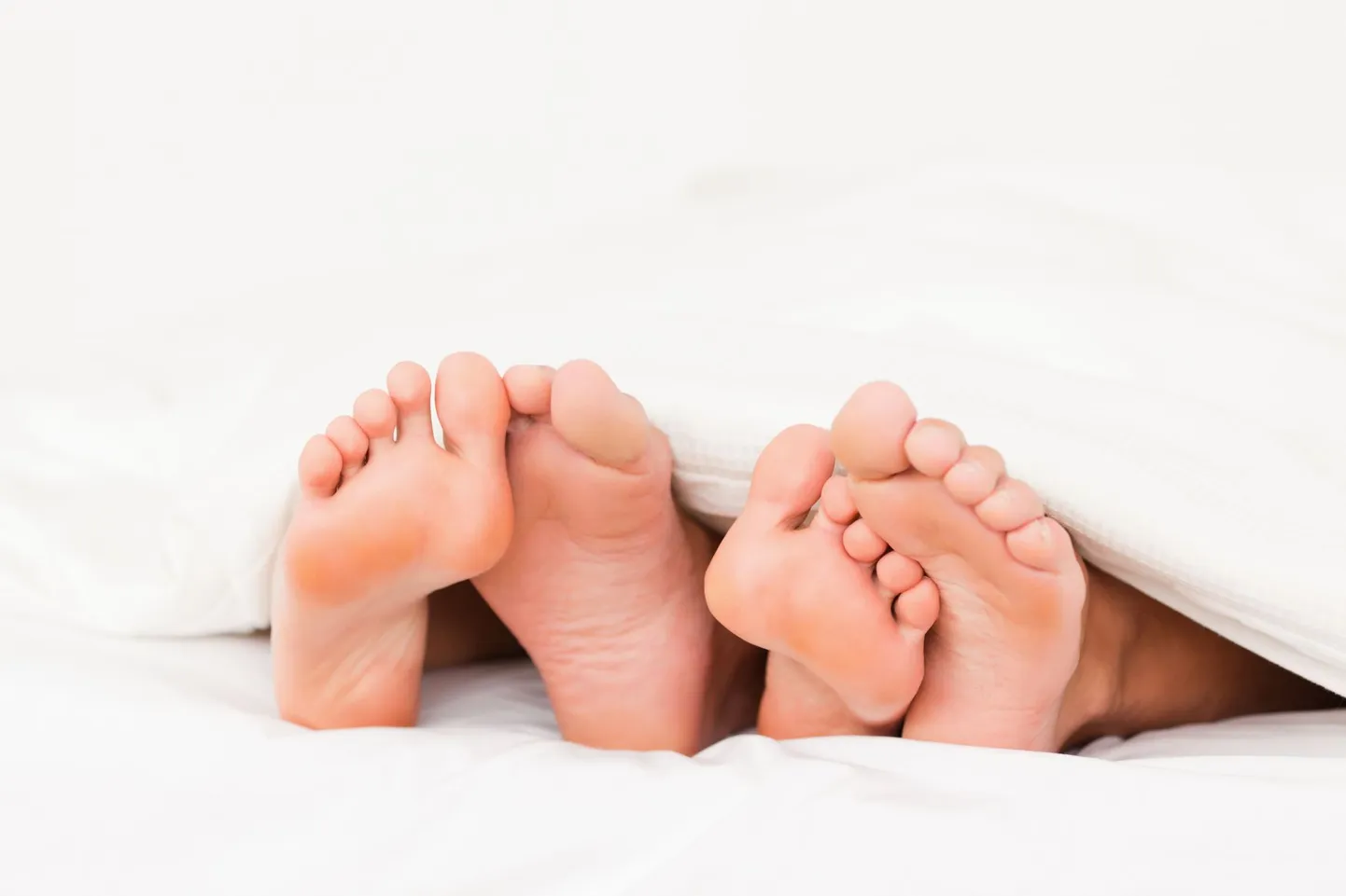 Venekeelsete koolide õpetajad hakkavad seksuaalhariduse koolitusi saama.