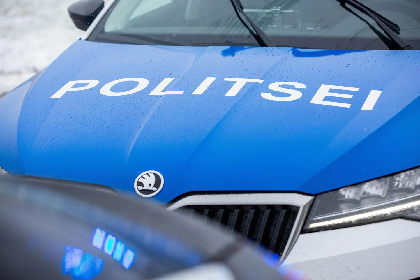 Politseil tuli laupäeva õhtupoolikul sõita Karulasse.